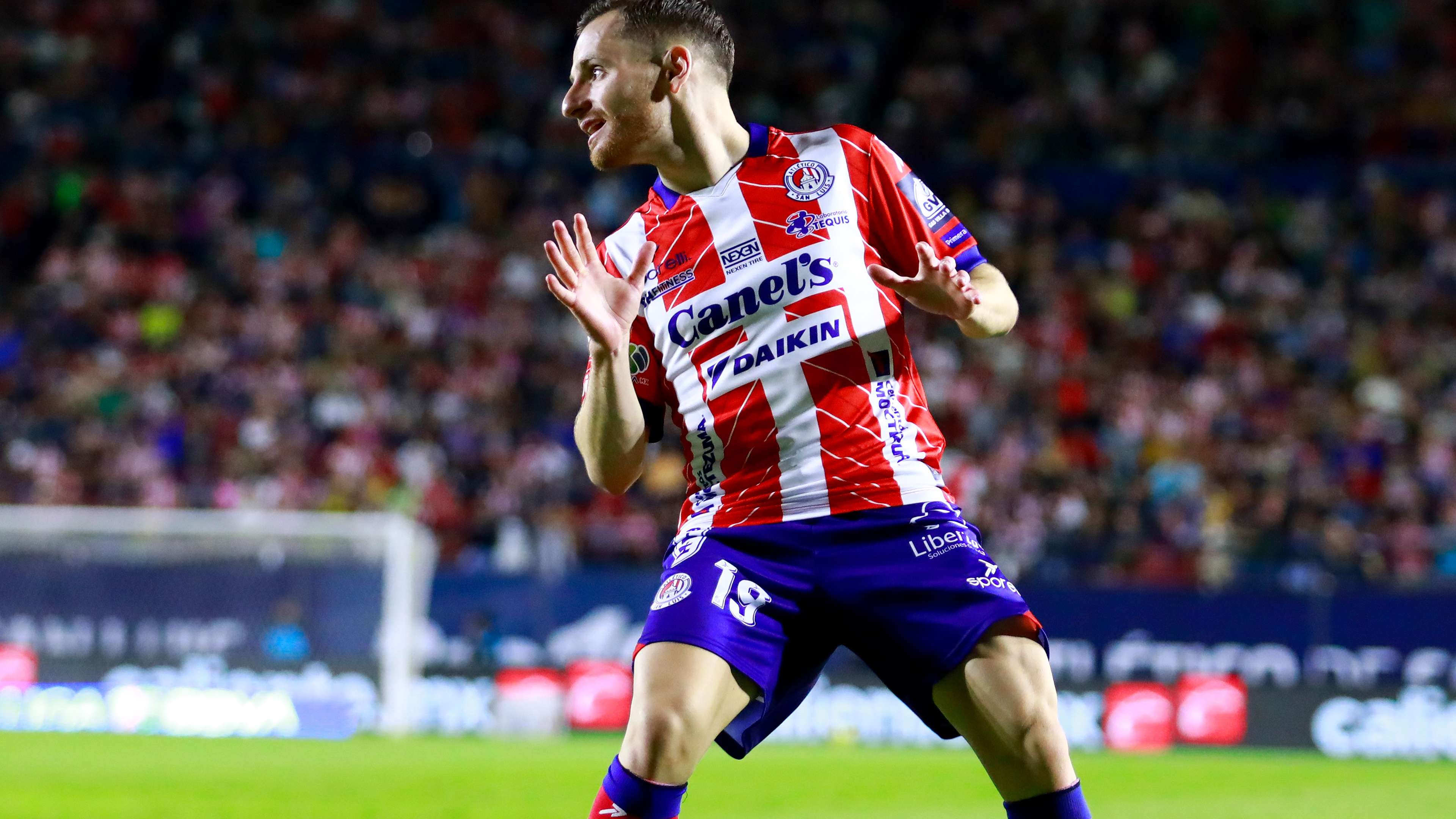 队员们已经 队员们已经