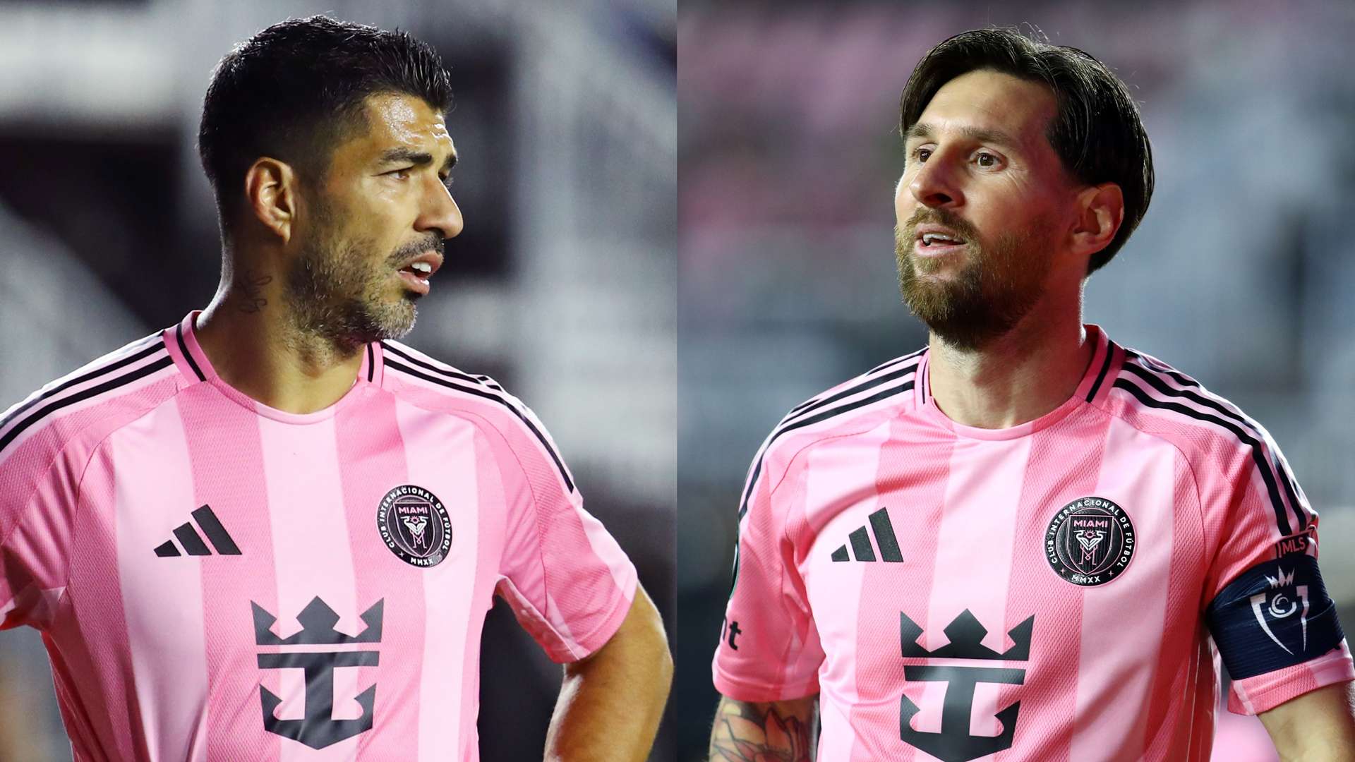 的重要组成 的重要组成